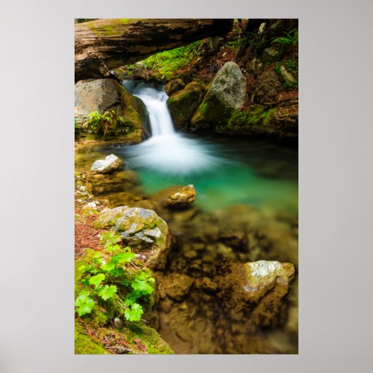 Cascade on Hare Creek, California ポスター (正面)