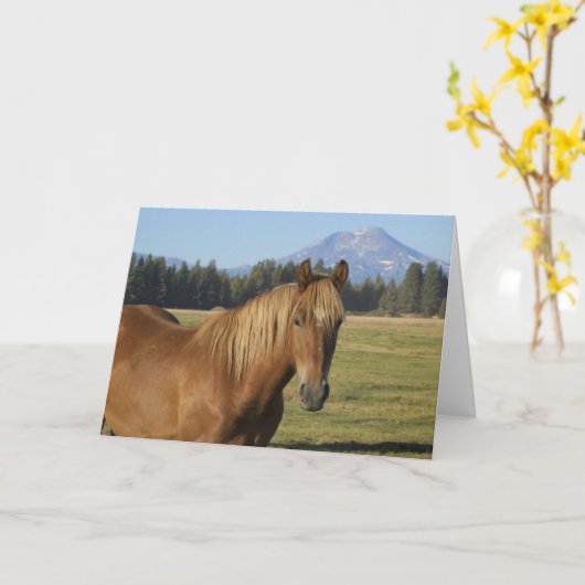 Cascade Range | Chestnut Horse カード (黄色い花)