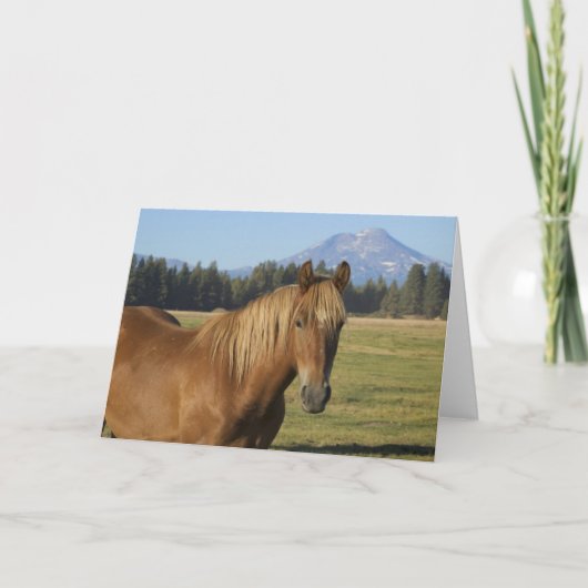 Cascade Range | Chestnut Horse カード (正面)