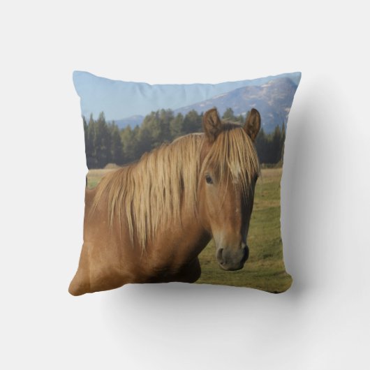 Cascade Range | Chestnut Horse クッション (裏面)