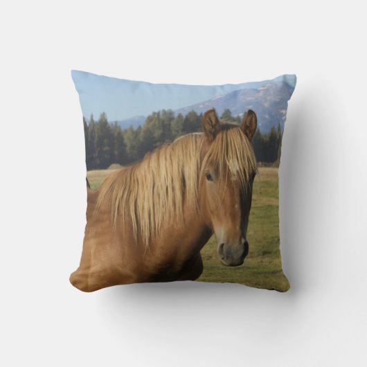 Cascade Range | Chestnut Horse クッション (正面)