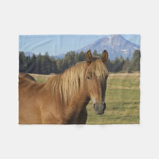Cascade Range | Chestnut Horse フリースブランケット (正面(横))