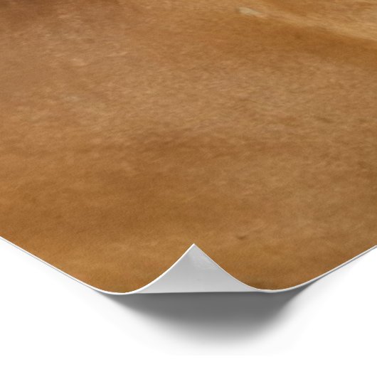 Cascade Range | Chestnut Horse ポスター (角)