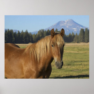 Cascade Range Chestnut Horse ポスター