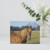 Cascade Range | Chestnut Horse ポストカード (スタンド正面)