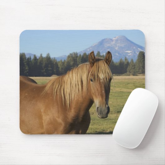 Cascade Range | Chestnut Horse マウスパッド (マウス)