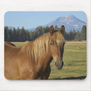 Cascade Range   Chestnut Horse マウスパッド