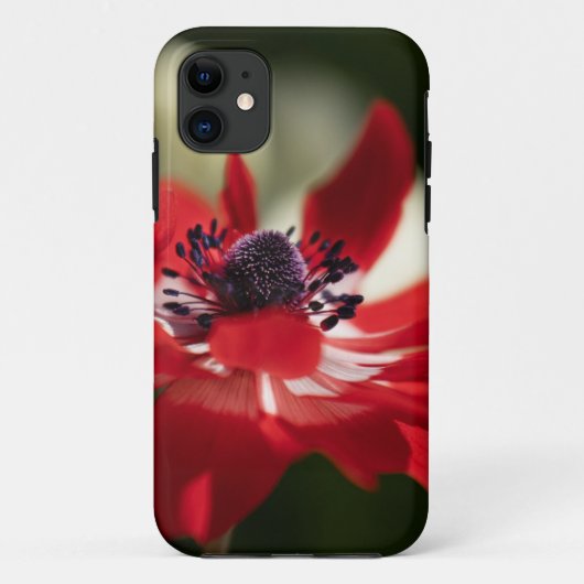 Case-MateタフApple iPhone 11ケース Case-Mate iPhoneケース (裏面)