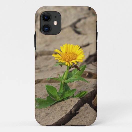 Case-MateタフApple iPhone 11ケース Case-Mate iPhoneケース (裏面)