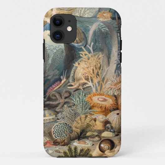 Case-MateタフApple iPhone 11ケース Case-Mate iPhoneケース (裏面)