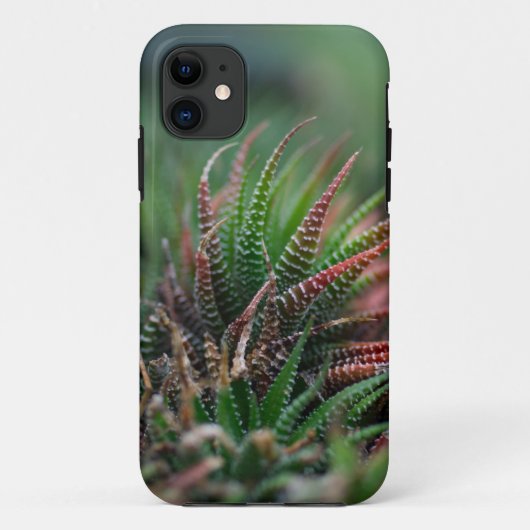 Case-MateタフApple iPhone 11ケース Case-Mate iPhoneケース (裏面)