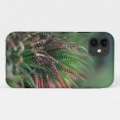 Case-MateタフApple iPhone 11ケース Case-Mate iPhoneケース (裏面(横))