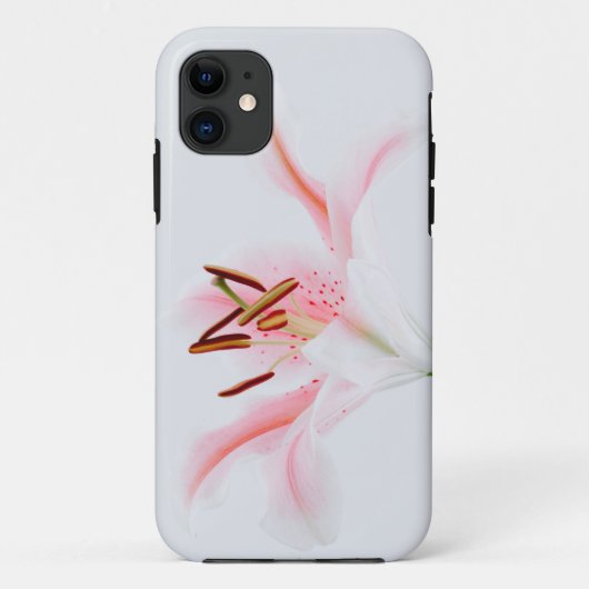 Case-MateタフApple iPhone 11ケース Case-Mate iPhoneケース (裏面)