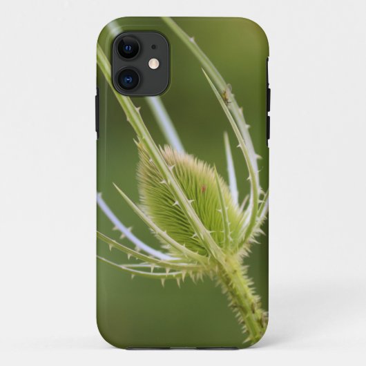 Case-MateタフApple iPhone 11ケース Case-Mate iPhoneケース (裏面)
