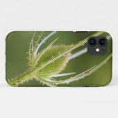 Case-MateタフApple iPhone 11ケース Case-Mate iPhoneケース (裏面(横))