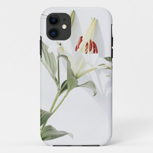 Case-MateタフApple iPhone 11ケース Case-Mate iPhoneケース (裏面)