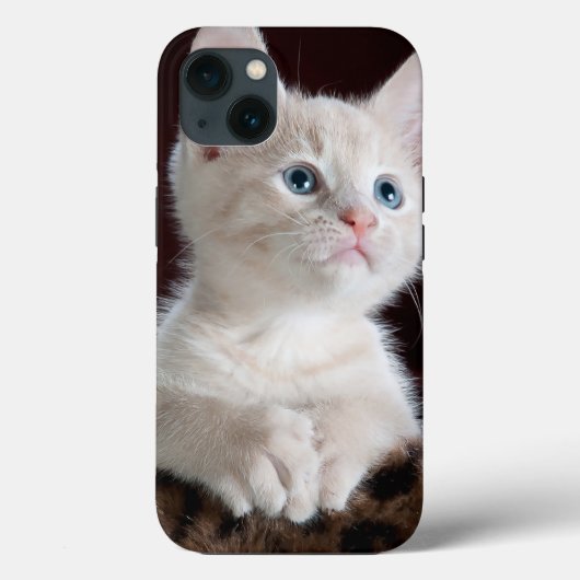 Case-MateタフApple iPhone 13ケース Case-Mate iPhoneケース (裏面)