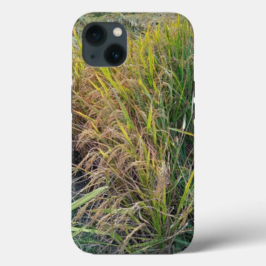 Case-MateタフApple iPhone 13ケース Case-Mate iPhoneケース (裏面)