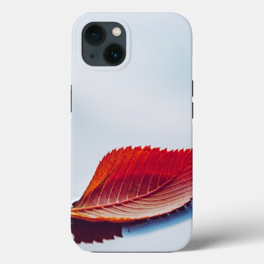 Case-MateタフApple iPhone 13ケース Case-Mate iPhoneケース (裏面)
