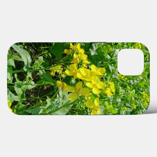 Case-MateタフApple iPhone 13ケース Case-Mate iPhoneケース (裏面 (横))