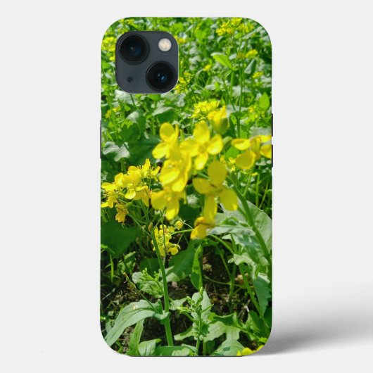 Case-MateタフApple iPhone 13ケース Case-Mate iPhoneケース (裏面)