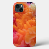 Case-MateタフApple iPhone 13ケース Case-Mate iPhoneケース (裏面)