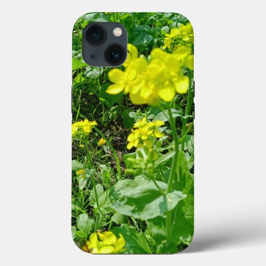Case-MateタフApple iPhone 13ケース Case-Mate iPhoneケース (裏面)