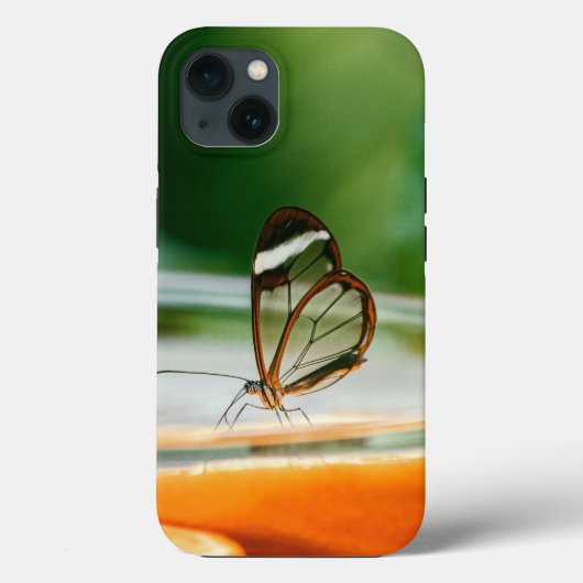 Case-MateタフApple iPhone 13ケース Case-Mate iPhoneケース (裏面)