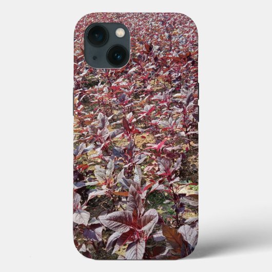 Case-MateタフApple iPhone 13ケース Case-Mate iPhoneケース (裏面)