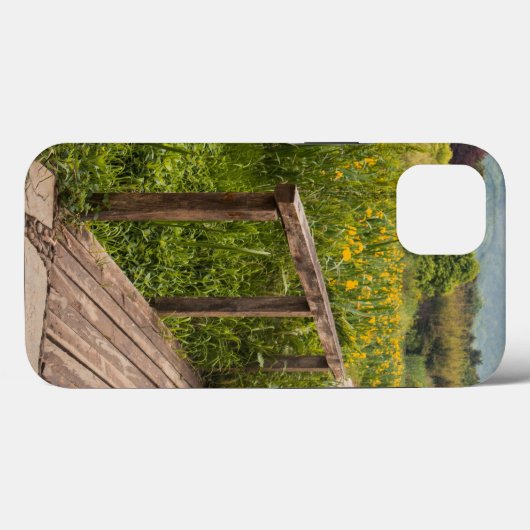 Case-MateタフApple iPhone 13ケース Case-Mate iPhoneケース (裏面 (横))