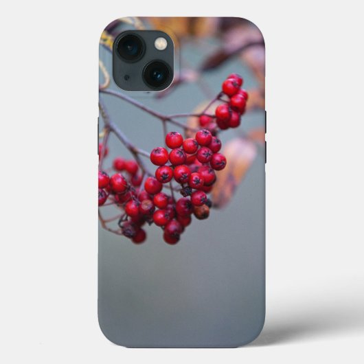 Case-MateタフApple iPhone 13ケース Case-Mate iPhoneケース (裏面)
