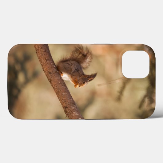 Case-MateタフApple iPhone 13ケース Case-Mate iPhoneケース (裏面 (横))