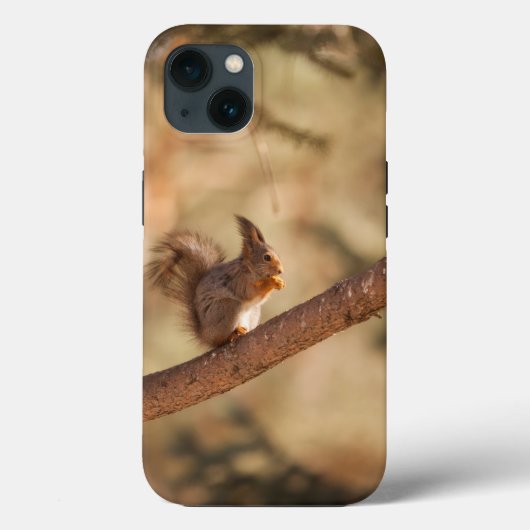 Case-MateタフApple iPhone 13ケース Case-Mate iPhoneケース (裏面)
