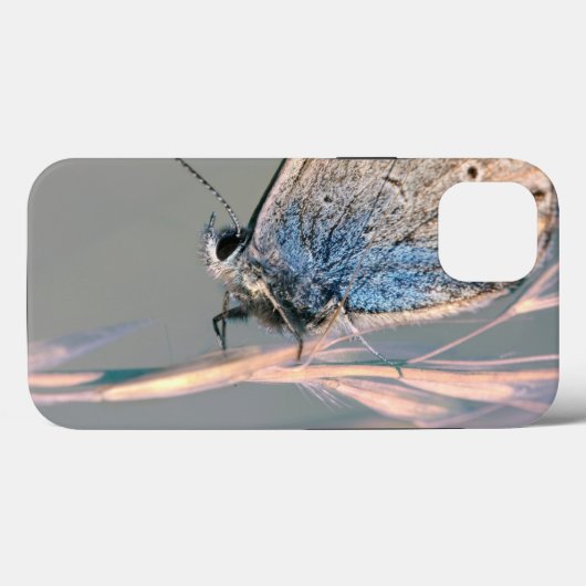 Case-MateタフApple iPhone 13ケース Case-Mate iPhoneケース (裏面 (横))