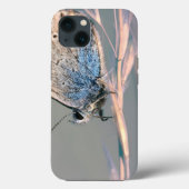 Case-MateタフApple iPhone 13ケース Case-Mate iPhoneケース (裏面)