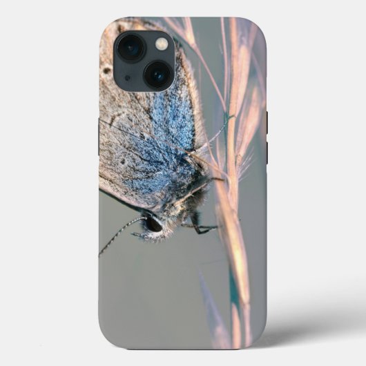 Case-MateタフApple iPhone 13ケース Case-Mate iPhoneケース (裏面)