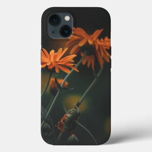 Case-MateタフApple iPhone 13ケース Case-Mate iPhoneケース (裏面)