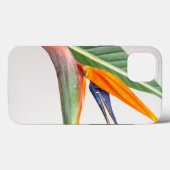 Case-MateタフApple iPhone 13ケース Case-Mate iPhoneケース (裏面 (横))