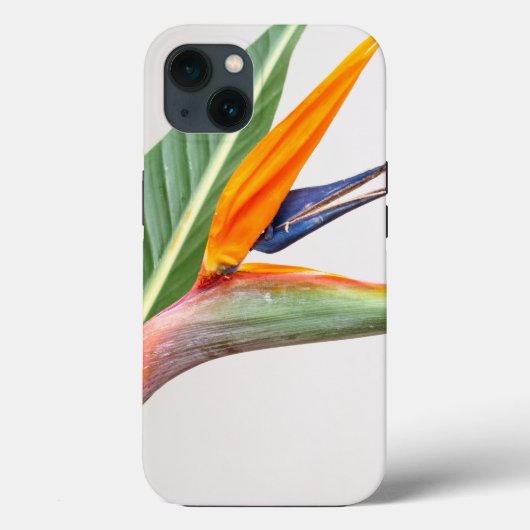 Case-MateタフApple iPhone 13ケース Case-Mate iPhoneケース (裏面)