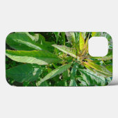 Case-MateタフApple iPhone 13ケース Case-Mate iPhoneケース (裏面 (横))