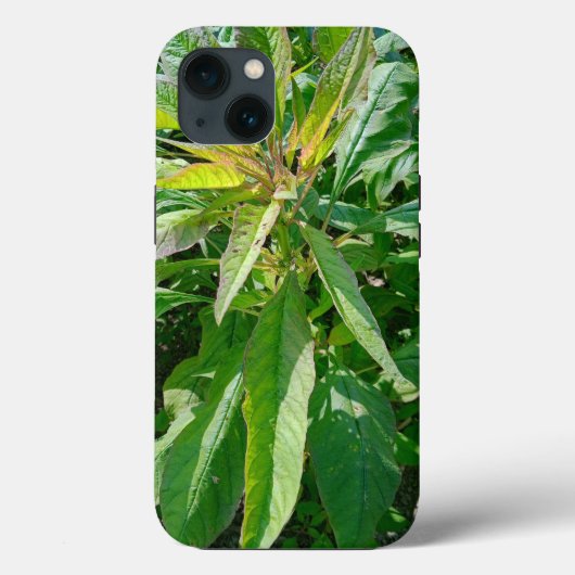Case-MateタフApple iPhone 13ケース Case-Mate iPhoneケース (裏面)