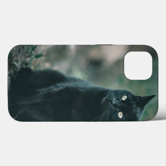 Case-MateタフApple iPhone 13ケース Case-Mate iPhoneケース (裏面 (横))