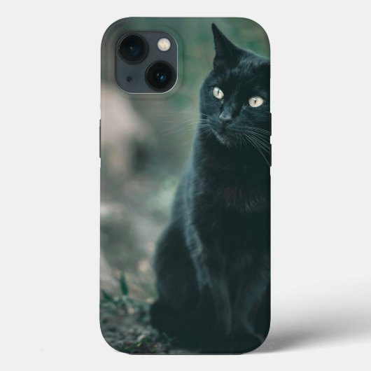 Case-MateタフApple iPhone 13ケース Case-Mate iPhoneケース (裏面)