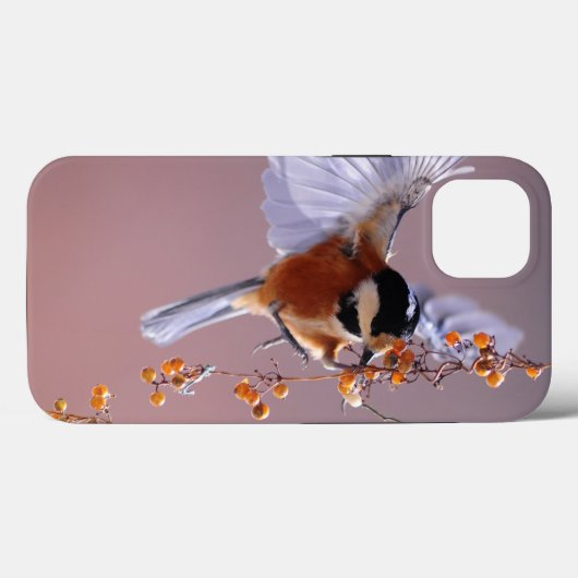 Case-MateタフApple iPhone 13ケース Case-Mate iPhoneケース (裏面 (横))