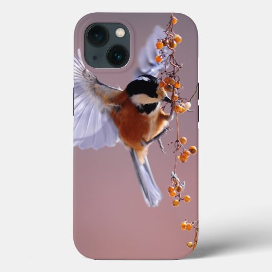 Case-MateタフApple iPhone 13ケース Case-Mate iPhoneケース (裏面)