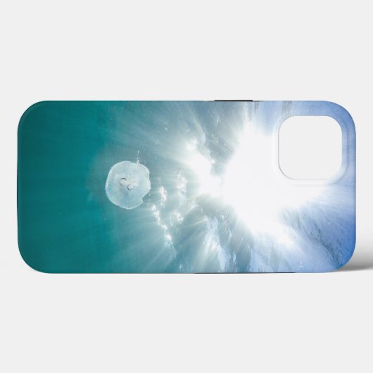 Case-MateタフApple iPhone 13ケース Case-Mate iPhoneケース (裏面 (横))