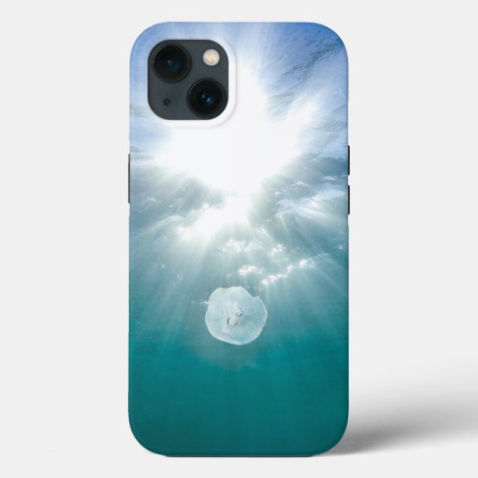 Case-MateタフApple iPhone 13ケース Case-Mate iPhoneケース (裏面)