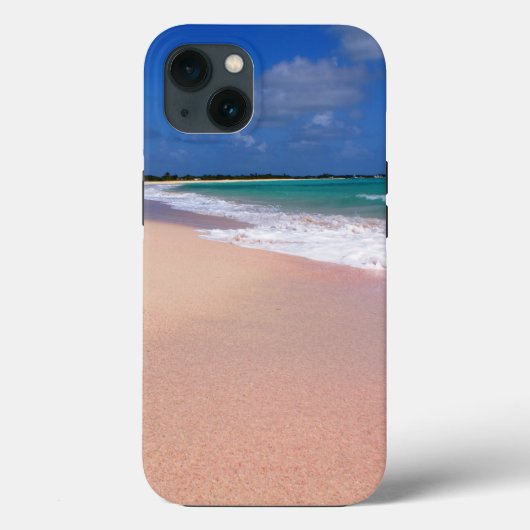 Case-MateタフApple iPhone 13ケース Case-Mate iPhoneケース (裏面)