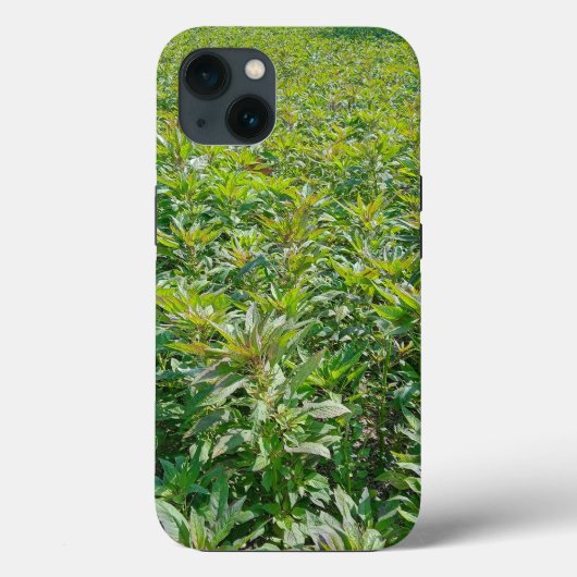 Case-MateタフApple iPhone 13ケース Case-Mate iPhoneケース (裏面)