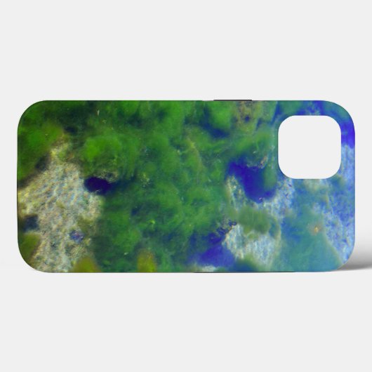 Case-MateタフApple iPhone 13ケース Case-Mate iPhoneケース (裏面 (横))